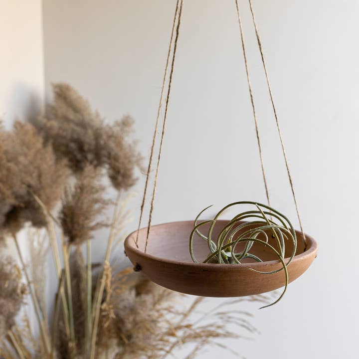 Foreside Home & Garden - Wholesale Hanging Planter - Ezekiel Shallow Dish Terracotta Hanging Succulent Planter