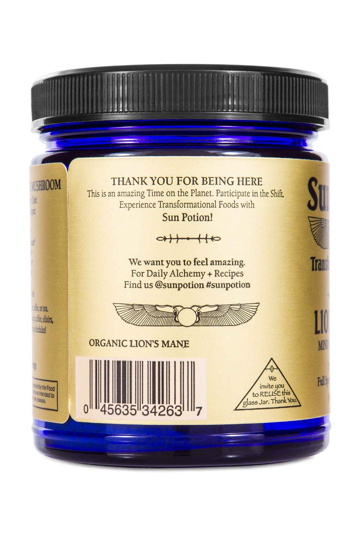 Sun Potion - Wholesale Protein/Superfood Powder - Lion's Mane (Organic) 100 grams7