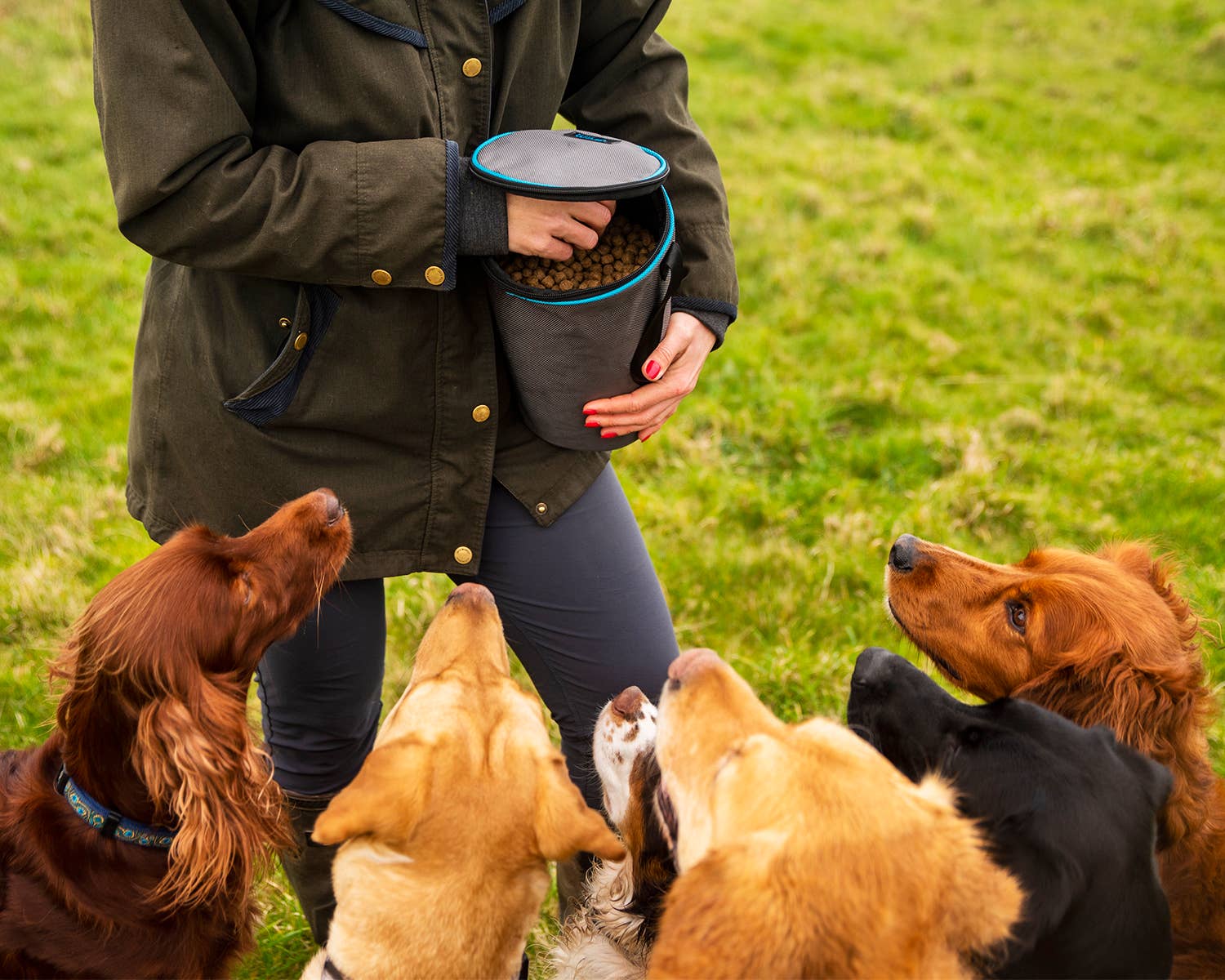 Henry Wag – wholesale Pet treat bag – Dog – Henry Wag Pet Snack Pack Travel Food Bag