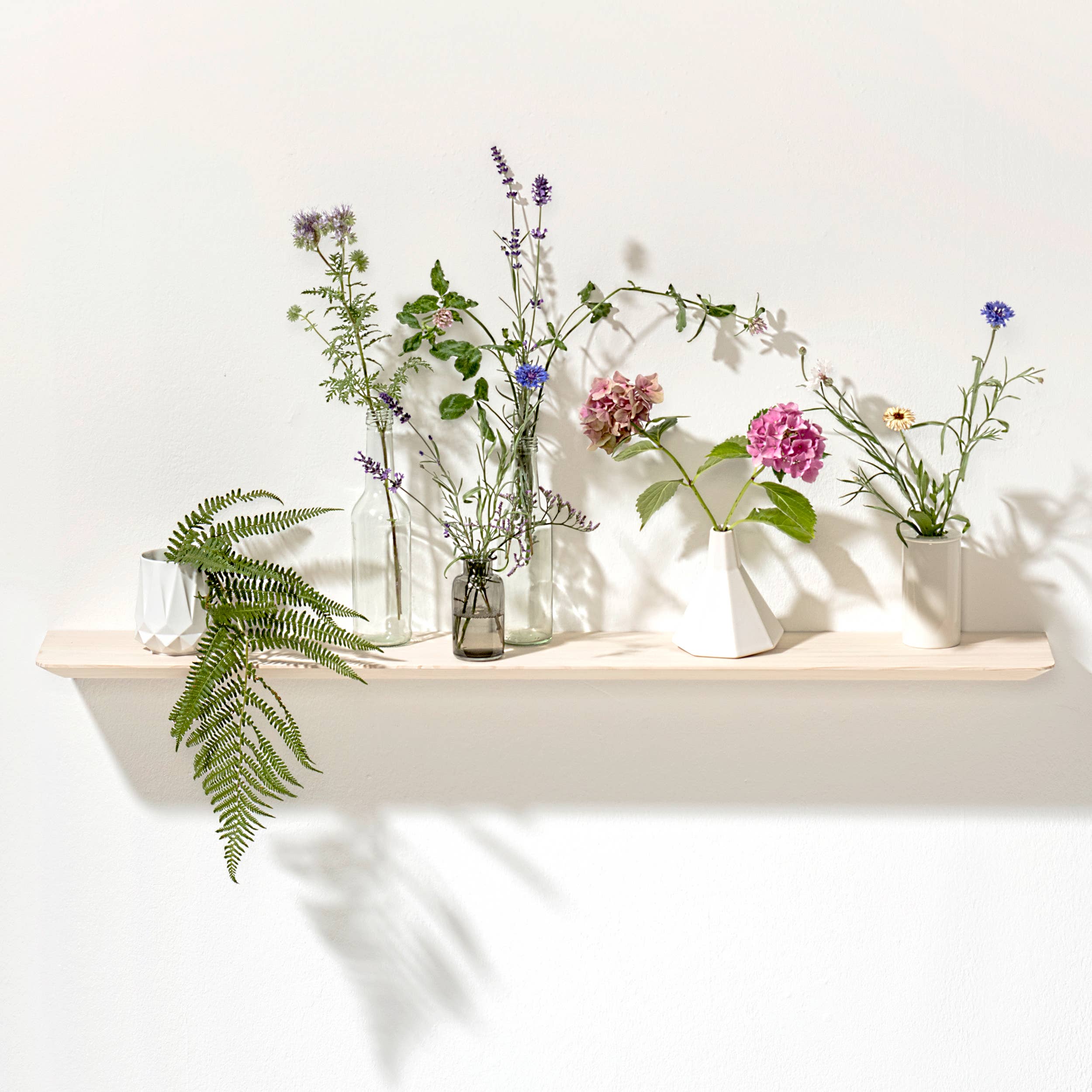 silver fir Weisstanne 02 wall shelf | size M for wholesale on Faire2