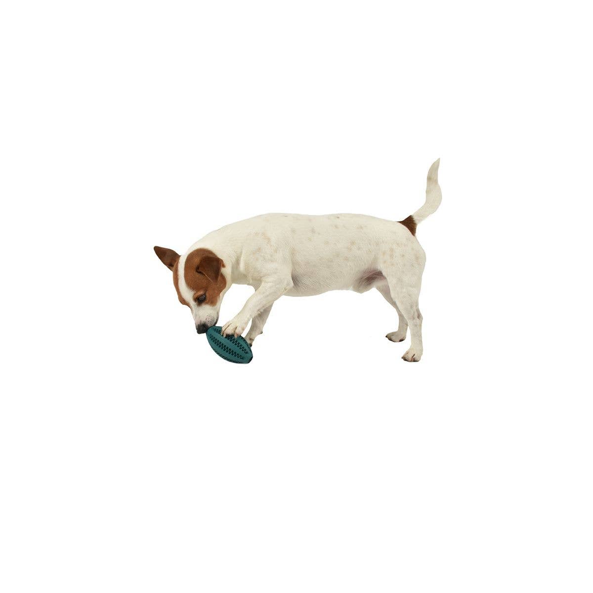 Bobby Canifrance - Wholesale Pet Fetch Ball - Dog - Dog ball - Balle - Bobby similar to Sodapup3