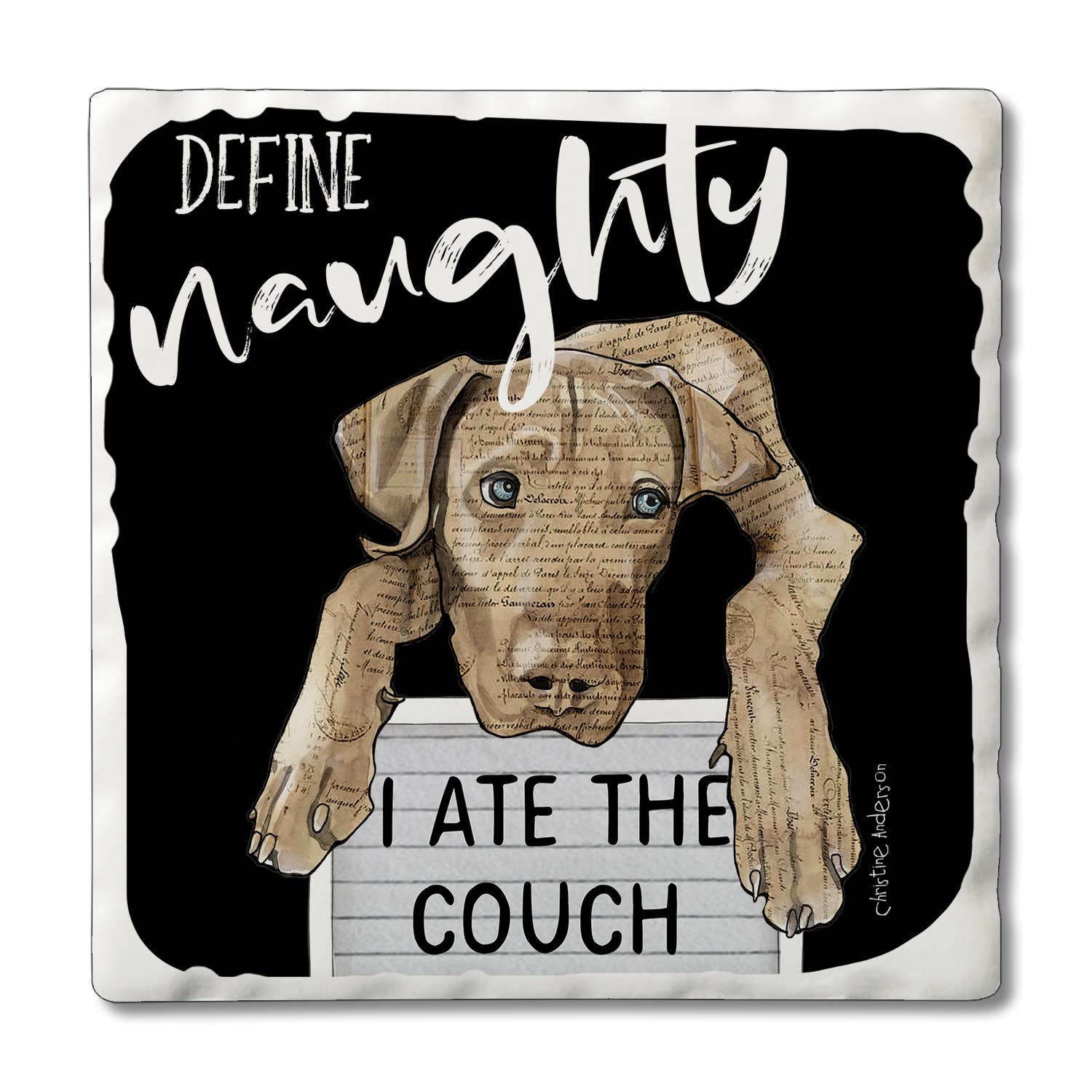 CounterArt/Highland Home/Thirstystone – wholesale Återförsäljarskyltning – Naughty Pets förpackad underläggsdisplay7