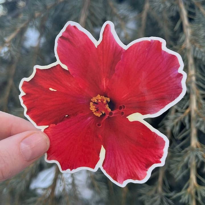 Stick Outside - Wholesale Sticker - Hawaii Hibiscus Flower Sticker0