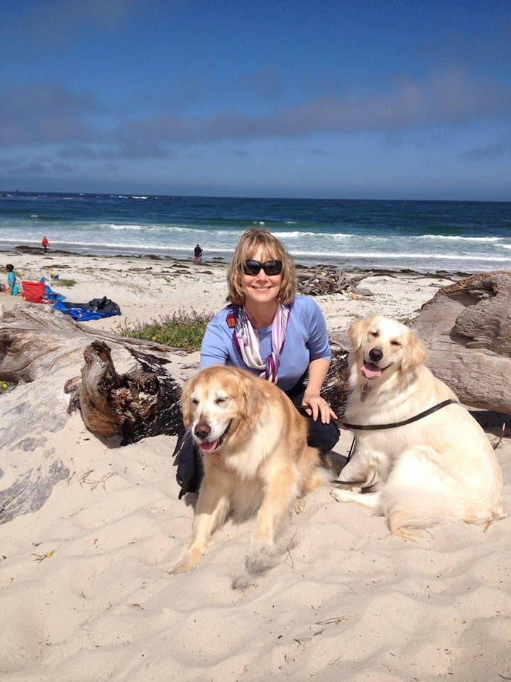 Carmel Ceramica - Vente Gamelle – chat et chien - Nourriture et bol d'eau pour chien - Petit Aqua/Vert3