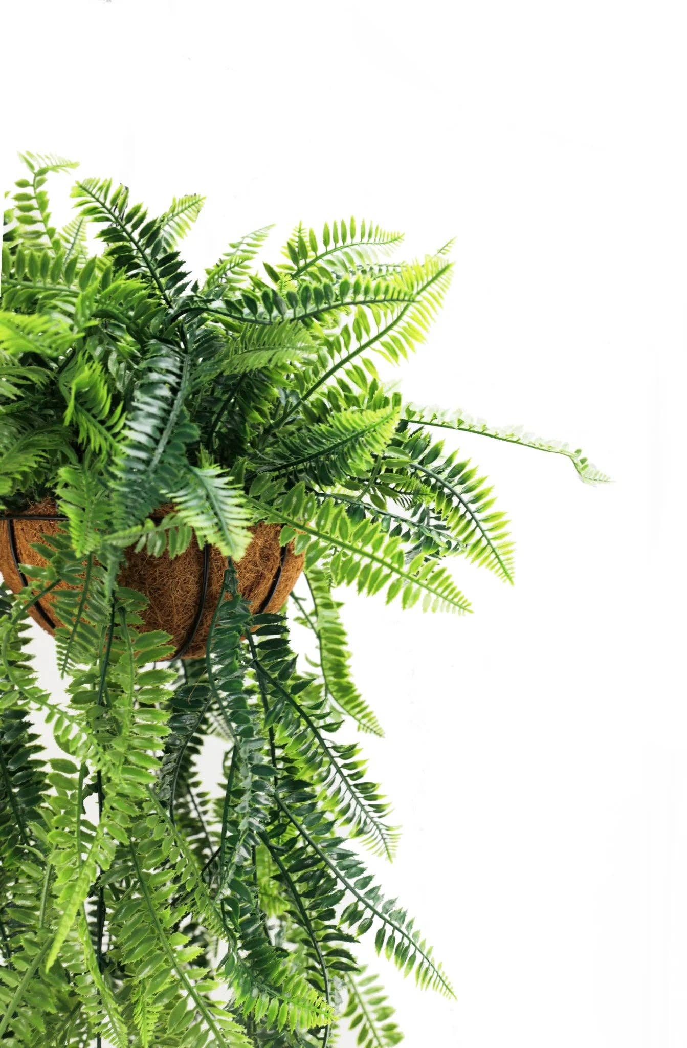 Designer Plants - Wholesale Artificial plant - Artificial Hanging Fern Basket – UV Resistant (13.8in x 49.2in | 35cm x 125cm)2