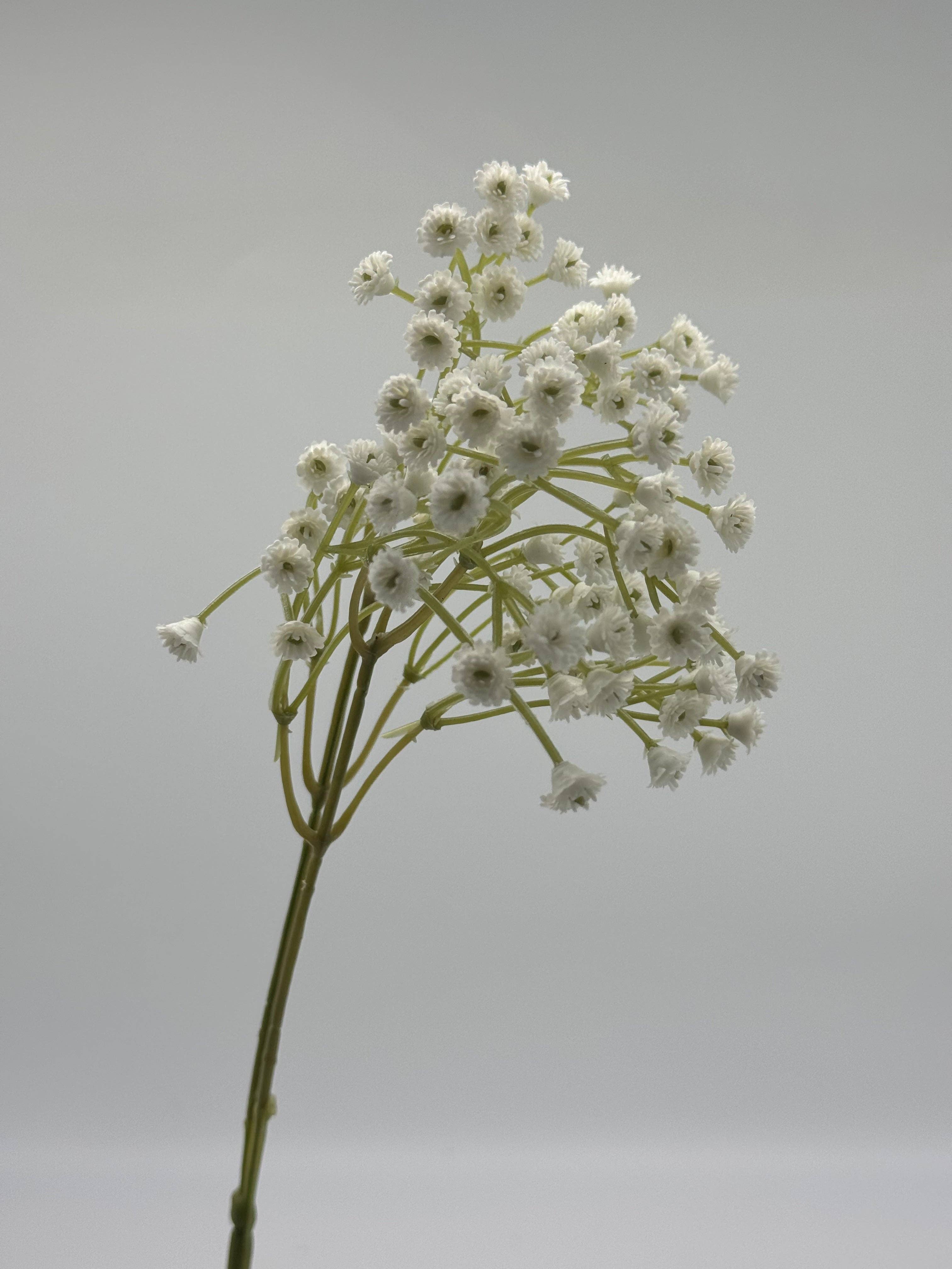 JKF & Co Pty Ltd – Engroshandel Kunstige blomster – Real Touch Babysvøb dråbe gypsophila i hvid0