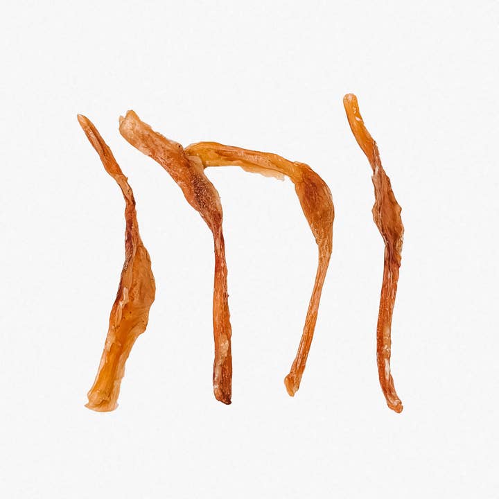 Dehydrated Bison Tendon Strips for wholesale by Wild n Fresh Treats