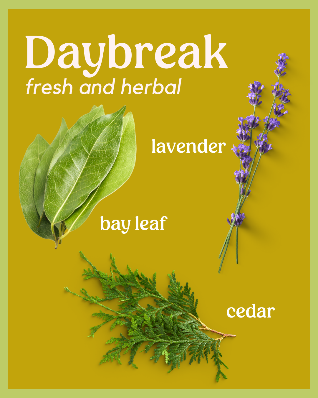 Borough Home - Wholesale Jar/Filled Candle - Daybreak1