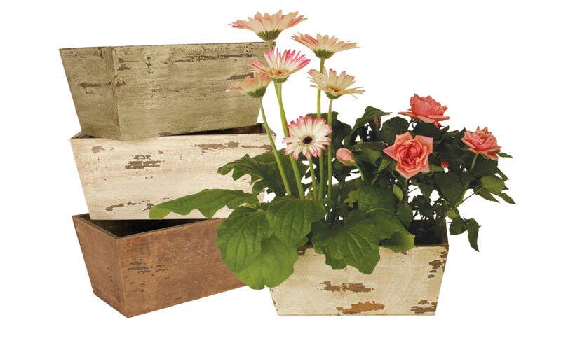 WALD IMPORTS - Vente Jardinière - Jardinière double de 6 po, finis2