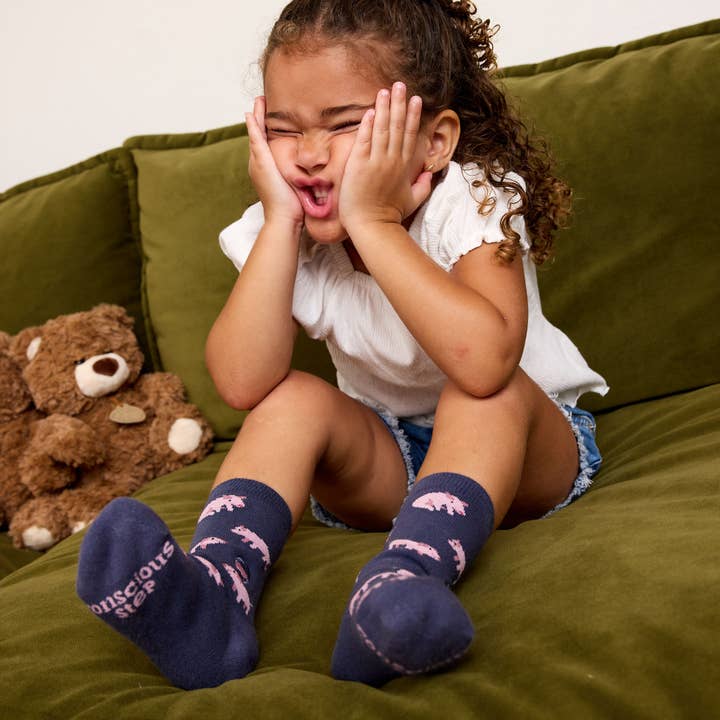 Conscious Step - Wholesale Socks - Kids - Kids Socks that Save Pigs7