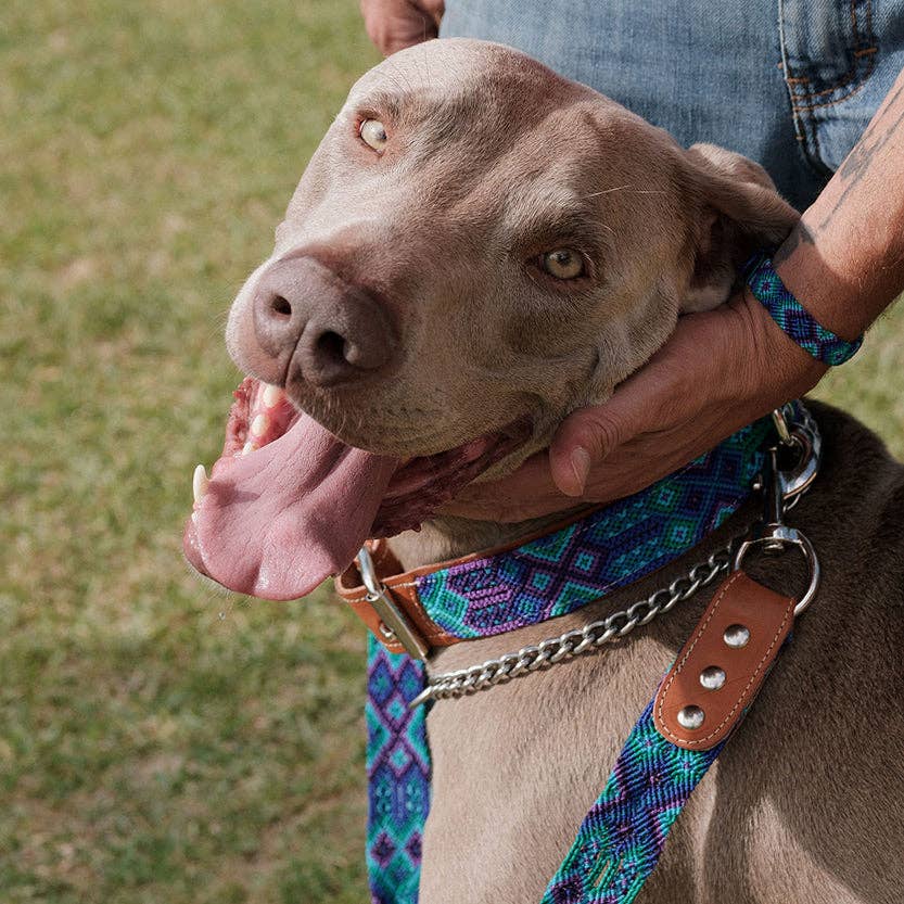 Apapáchalos- Pets - Wholesale Pet Leash - Dog - Quetzal blue dog leash2