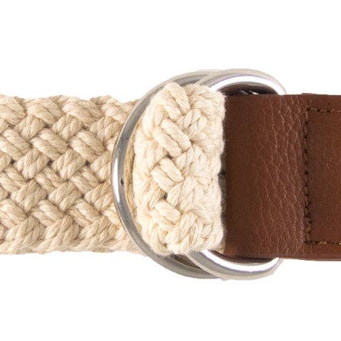 Le David pour la vente par DIBI