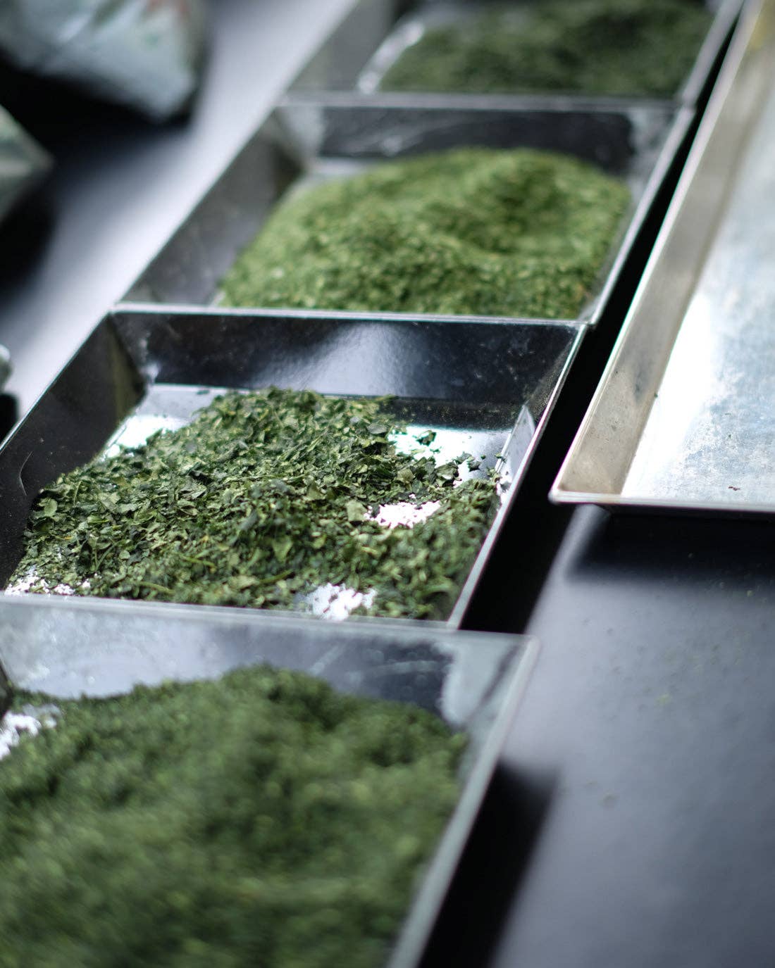 HAPPY NUTS DAY_Japan - Wholesale Nut Butter - Matcha Peanut Butter 3.9oz6