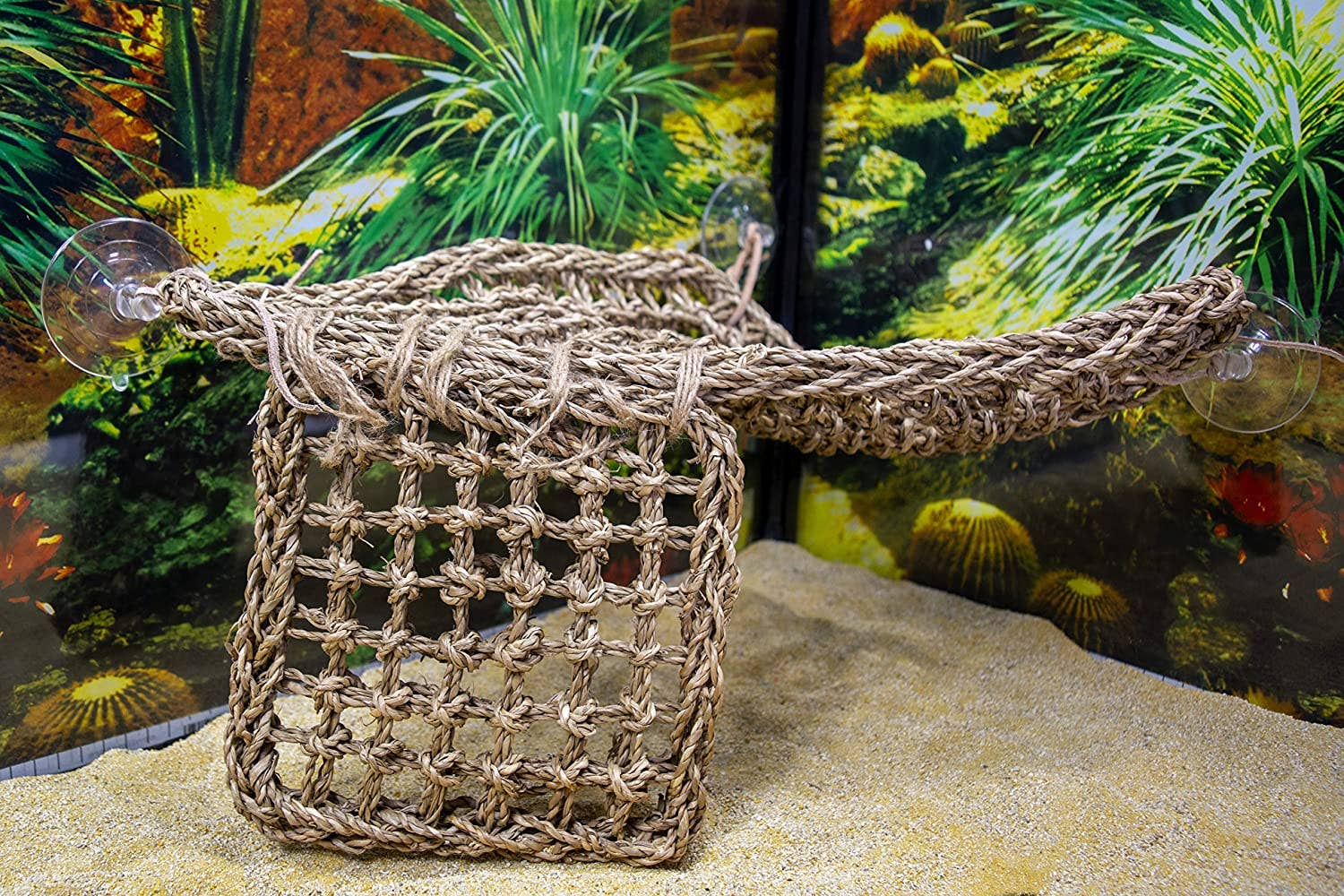 Penn-Plax - Wholesale Terrarium - Reptology Lizard Lounger Corner Triangle with Ladder – Large3