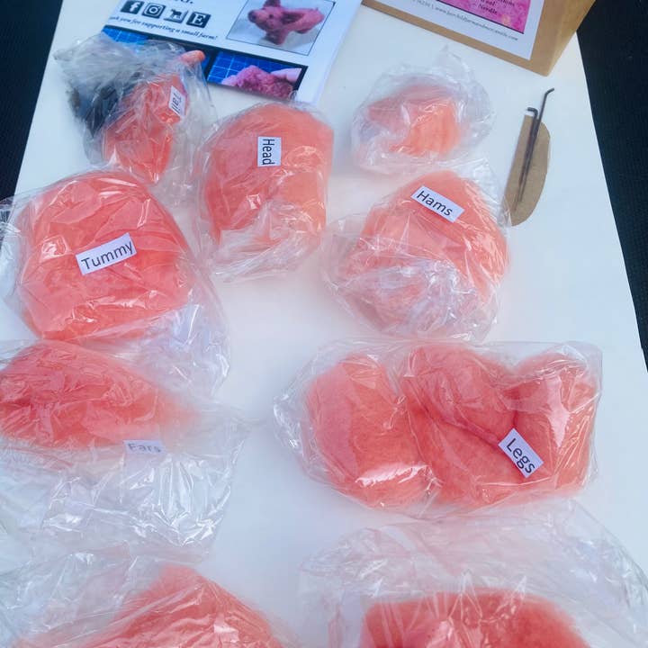 Fairchild Farm and Mercantile - Wholesale Craft Sewing Kit - Pig Needle Felting Kit4