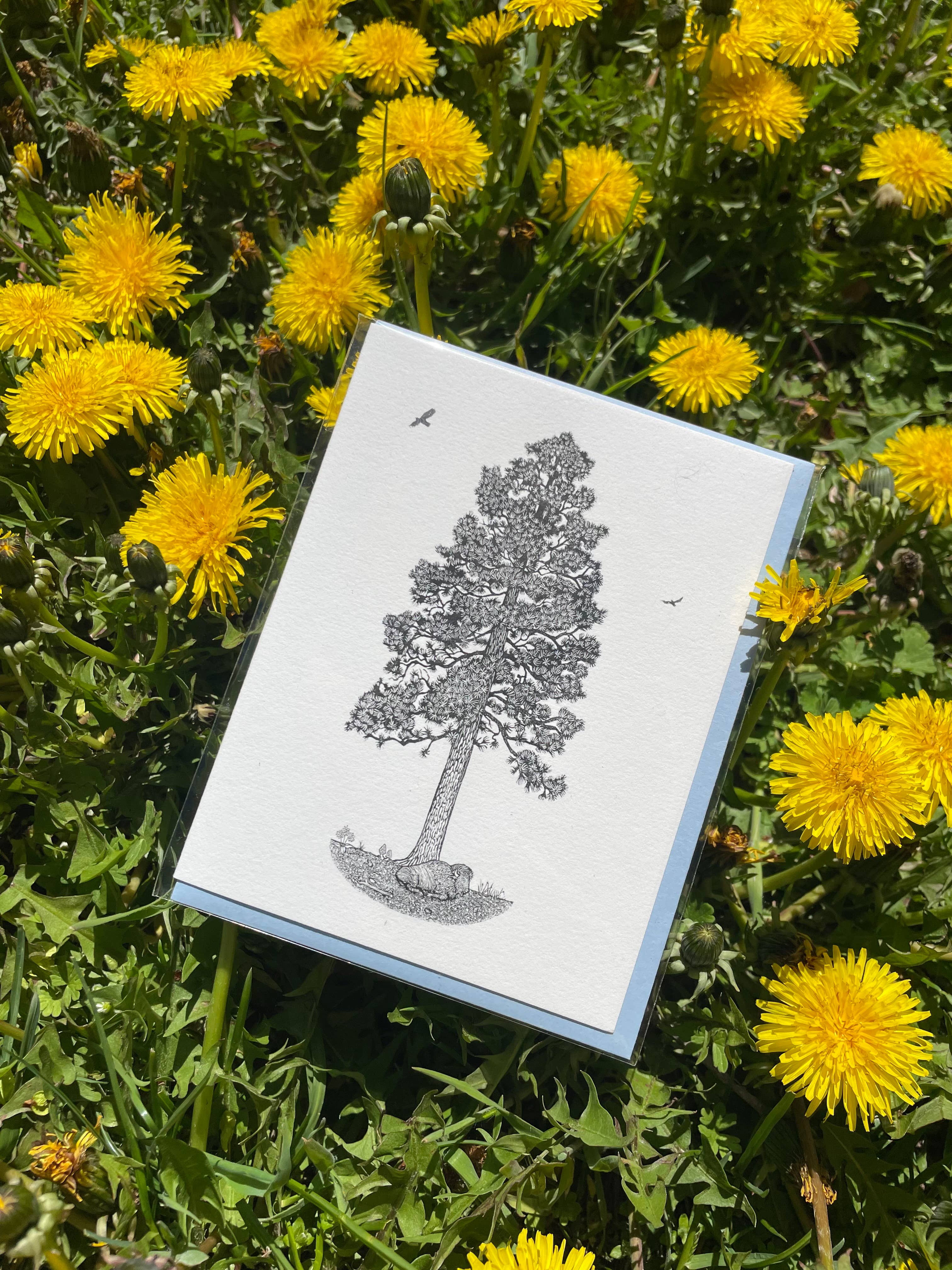 Anomal Press - Wholesale Season's Greetings Card - Big Sky ponderosa tree linocut relief print card4