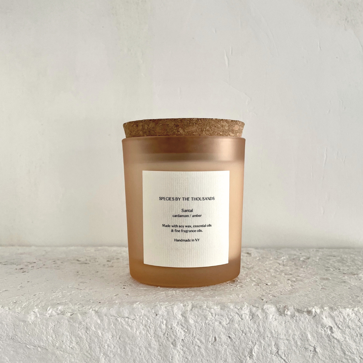 Species by the Thousands - Wholesale Jar/Filled Candle - Santal, Cardamom + Amber Handcrafted Scented Soy Candle5