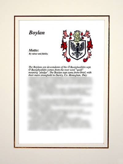 Boylan for engroshandel hos Family Histories