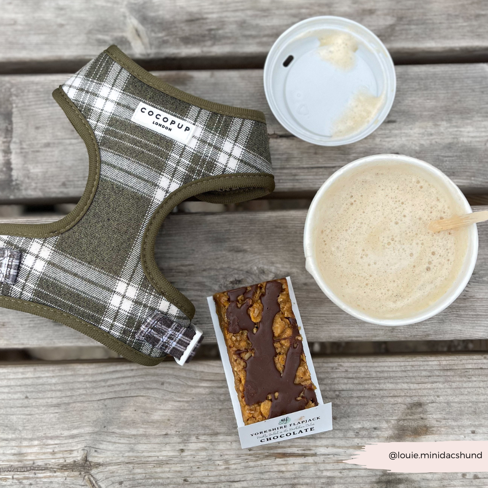 Cocopup London – wholesale Pet harness – Dog – Olive Check Adjustable Neck HARNESS18