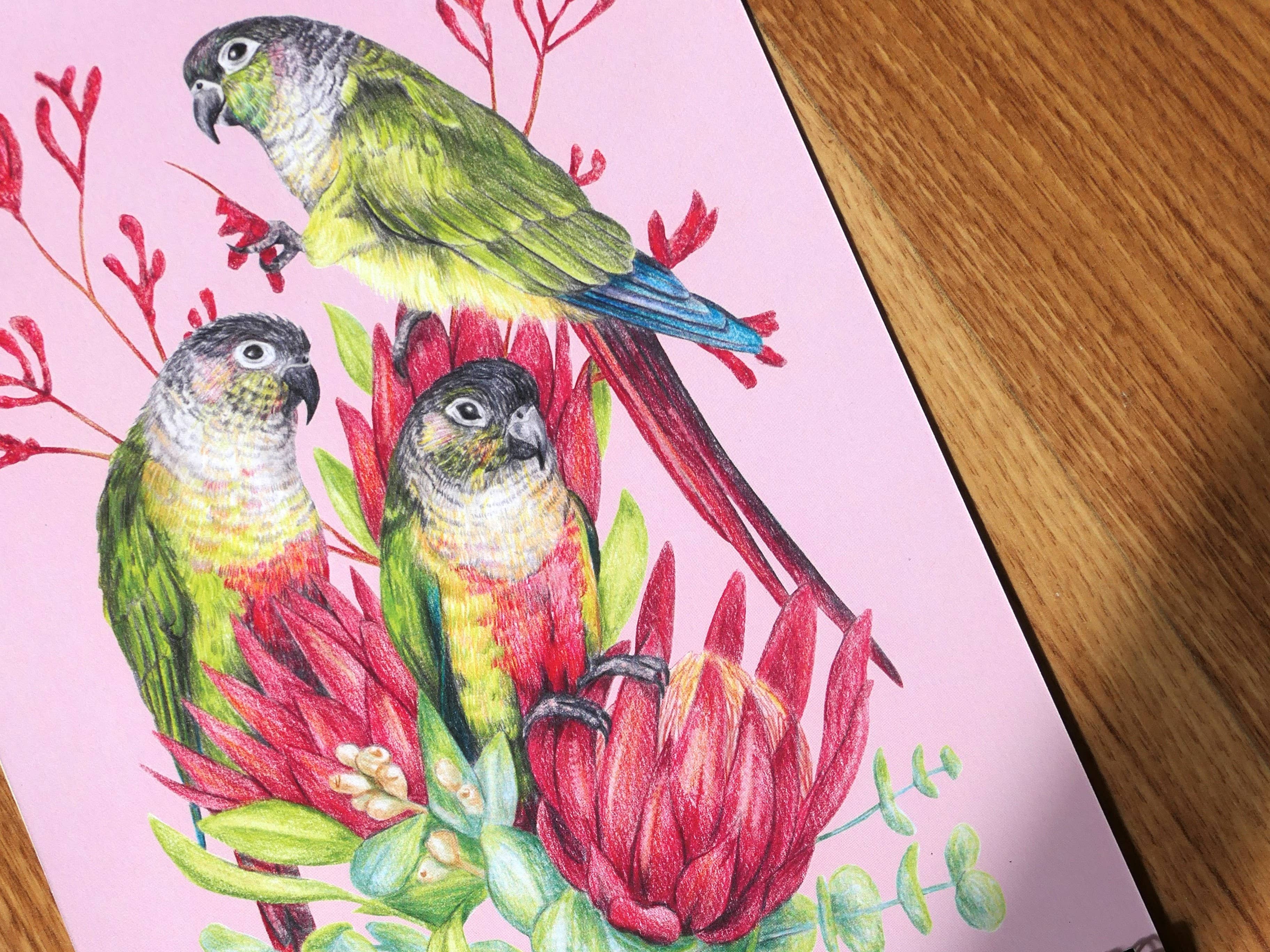 Kayla Reay Design - Wholesale Calendar - 2026 Parrots Calendar - Australian Artist Bird Art Planner4