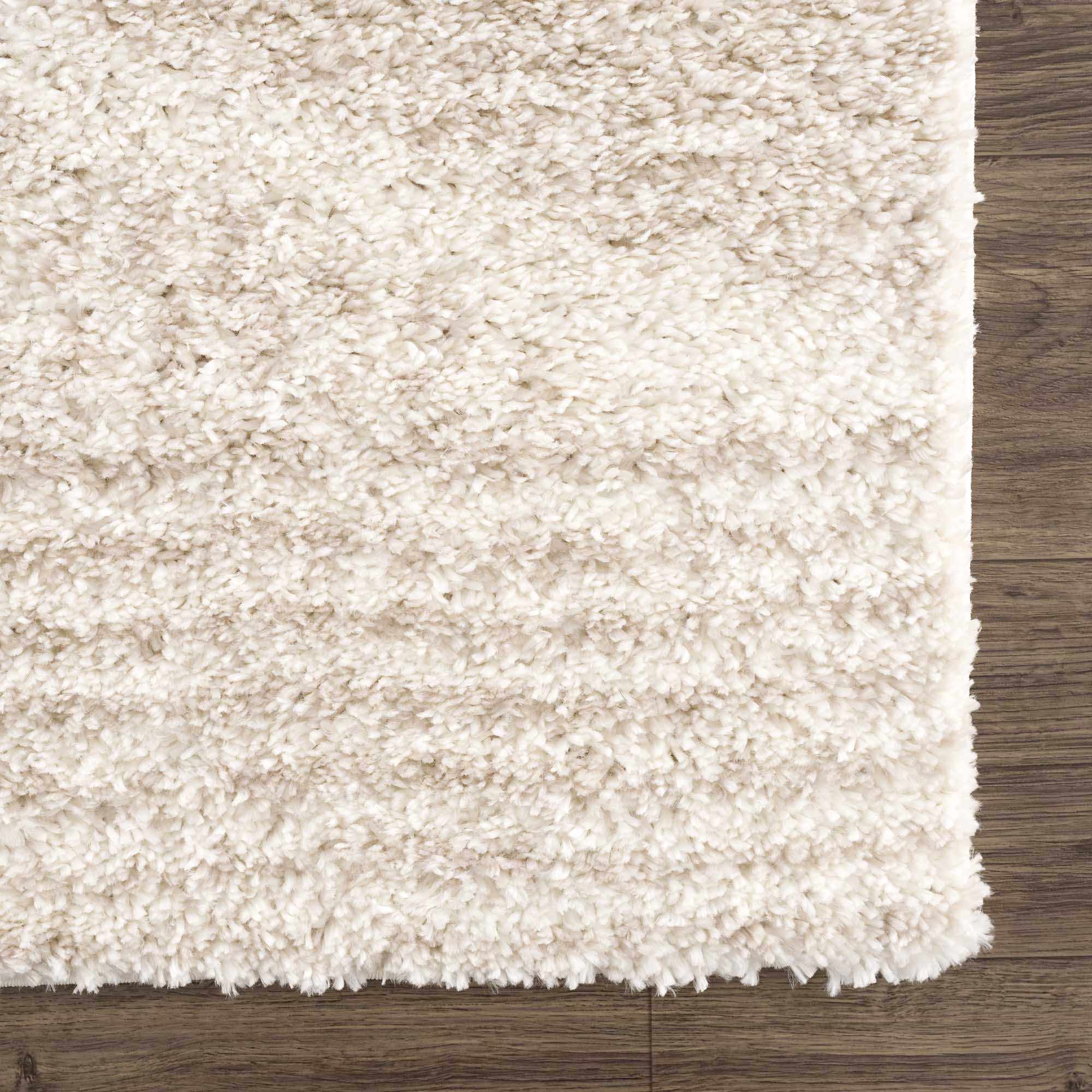 Hauteloom - Wholesale Area Rug - Trunding Plush Area Rug in Light Beige7