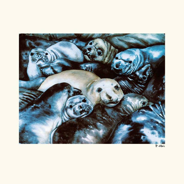 Elephant Seals for wholesale by Oki Designs