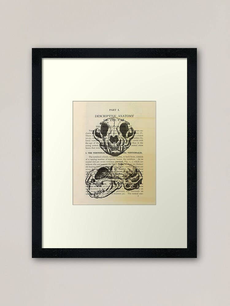 Kaleigh Day Art - Wholesale Art Print - Cat Skeleton Anatomy Art | Dictionary Page Art | Witchy Art Print | Pagan Gift | Wiccan Art | Occult Art | Cat Skull Illustration4
