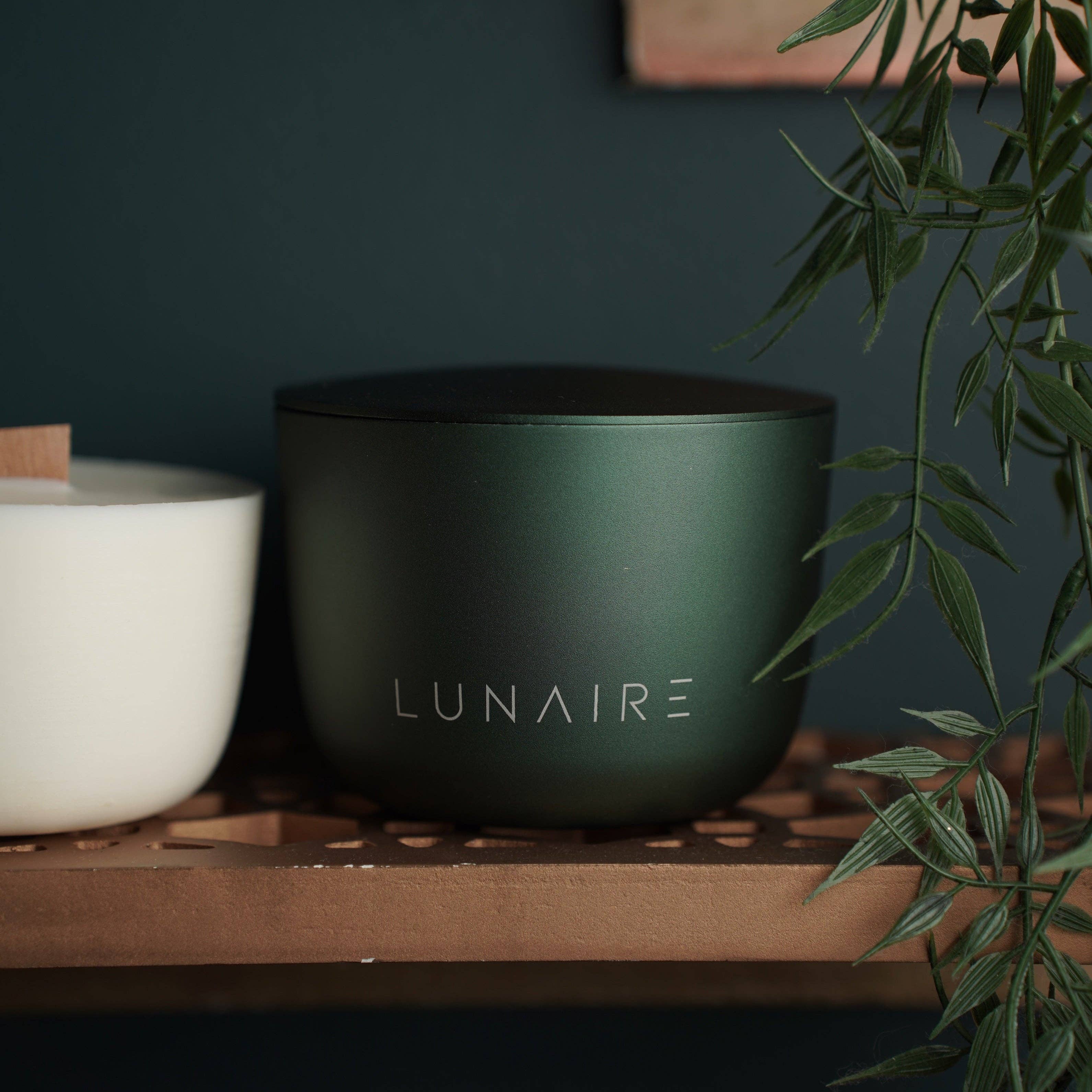 Lunaire - Wholesale Jar/Filled Candle - Forest Jar + First Light Fern Pod9