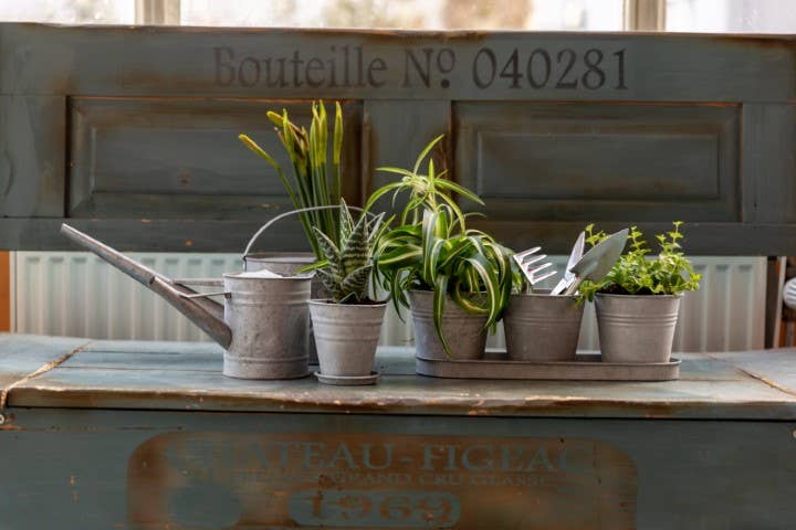 Fallen Fruits Ltd – wholesale Watering can – OZ43 - Old Zinc Watering Can (1.6Lt)1