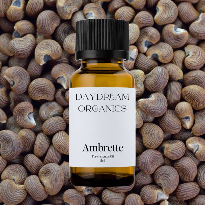 Huile essentielle de graine d'ambrette pour la vente par Daydream Organics | Prairie Doctor Brand