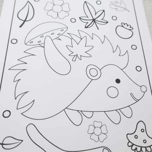 ColorFall Editions - Vendita all'ingrosso Libro da colorare e attività - Bambini e neonati - Libro da colorare animali d’autunno per bambini2