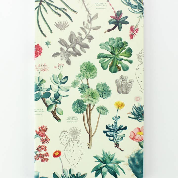 Cognitive Surplus - Wholesale Planner - Succulents Yearly Planner (Case of 6)