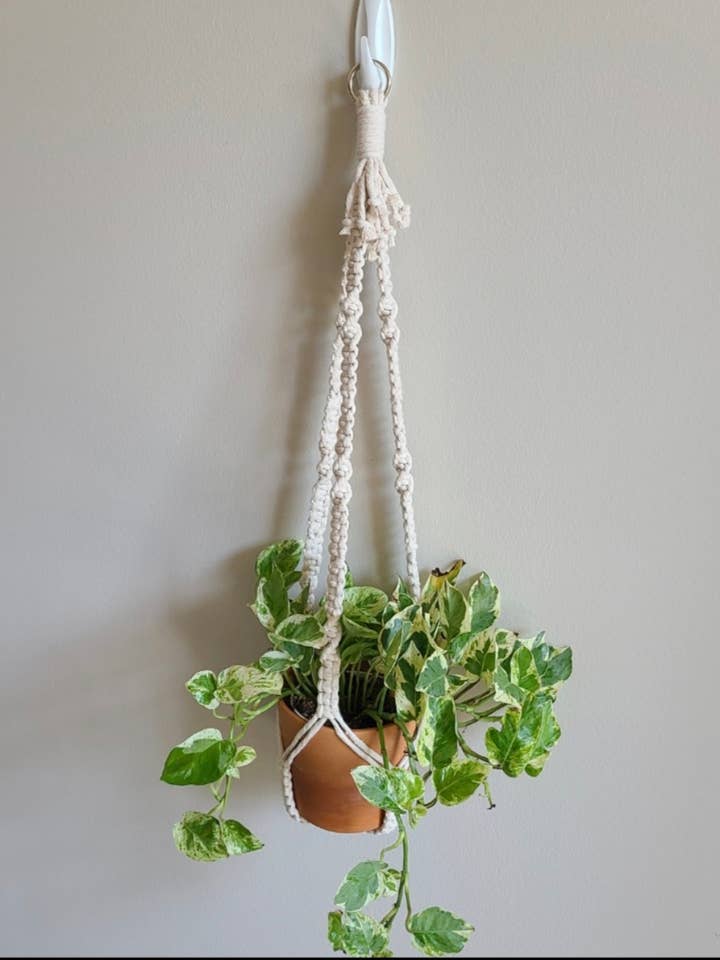 Suspension de plante sans queue pour centre pour la vente par Macramé Mouse