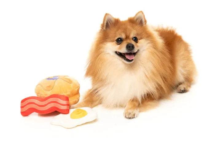In Vogue Pets – wholesale Pet plush toy – Dog – Dog's Breakfast 3PK - Dog Toy2