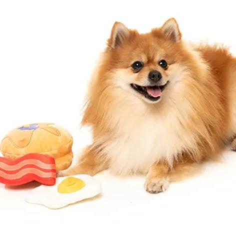 In Vogue Pets – wholesale Pet plush toy – Dog – Dog's Breakfast 3PK - Dog Toy2