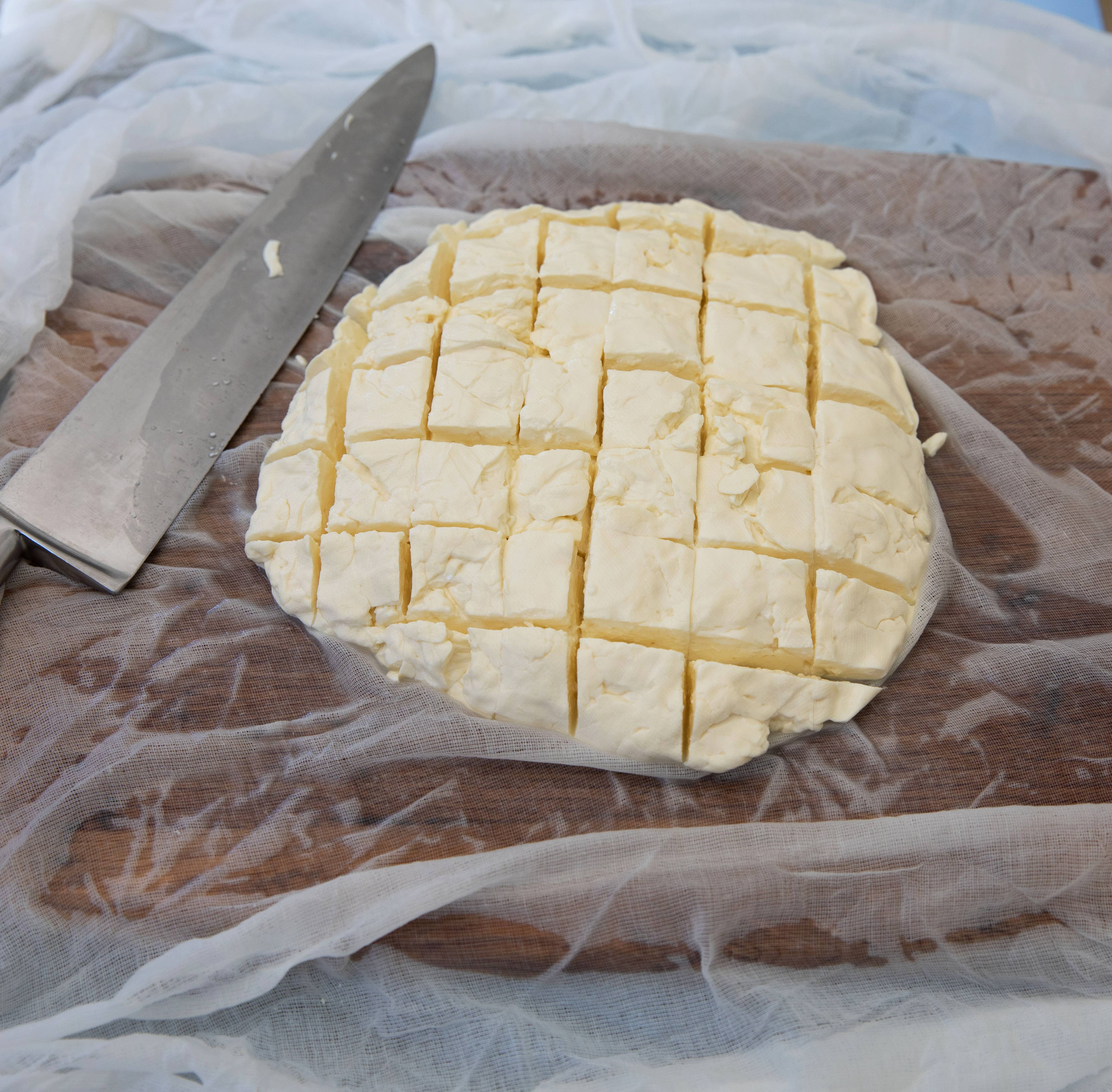 The Big Cheese Making Kit - Wholesale DIY Food Kit - BEER LOVER'S CHEESE MAKING foodie gift vegetarian gluten fre7