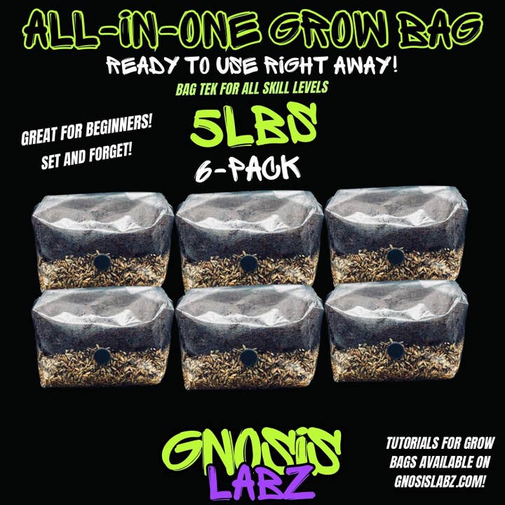 6 Pack of 5lbs All in One Mushroom Grow Kit Bags with Injection Port and Filter Patch! Great for Most Cultures! for wholesale by Gnosis Labz