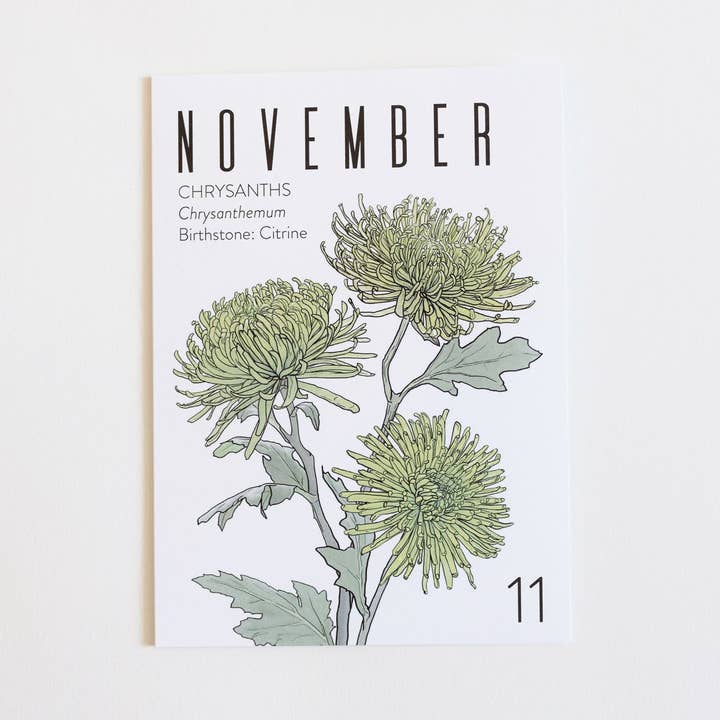 Gratulationskort: Födelsemånad: NOVEMBER för wholesale av WildFlora