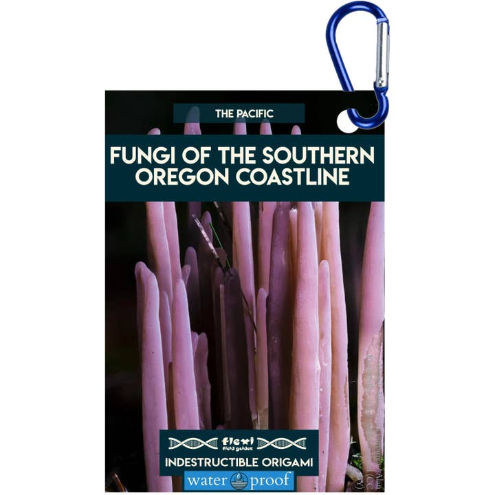 Fungi of The Southern Oregon Coast-Indestructible Origami for wholesale by Flexi Field Guides