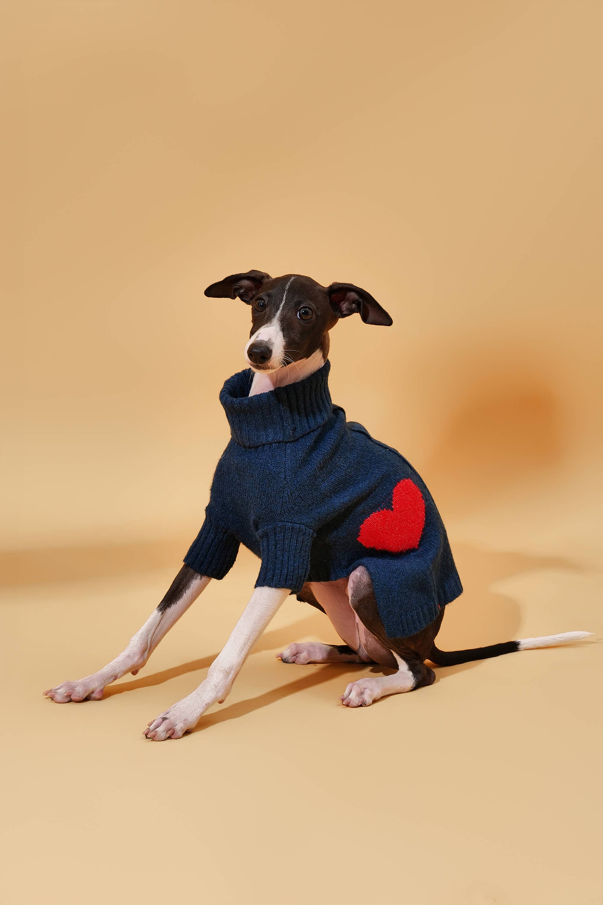BarkBarkBaby - Wholesale Pet Sweater - Dog - Heart to Heart Button-Up Cardigan Sweater2