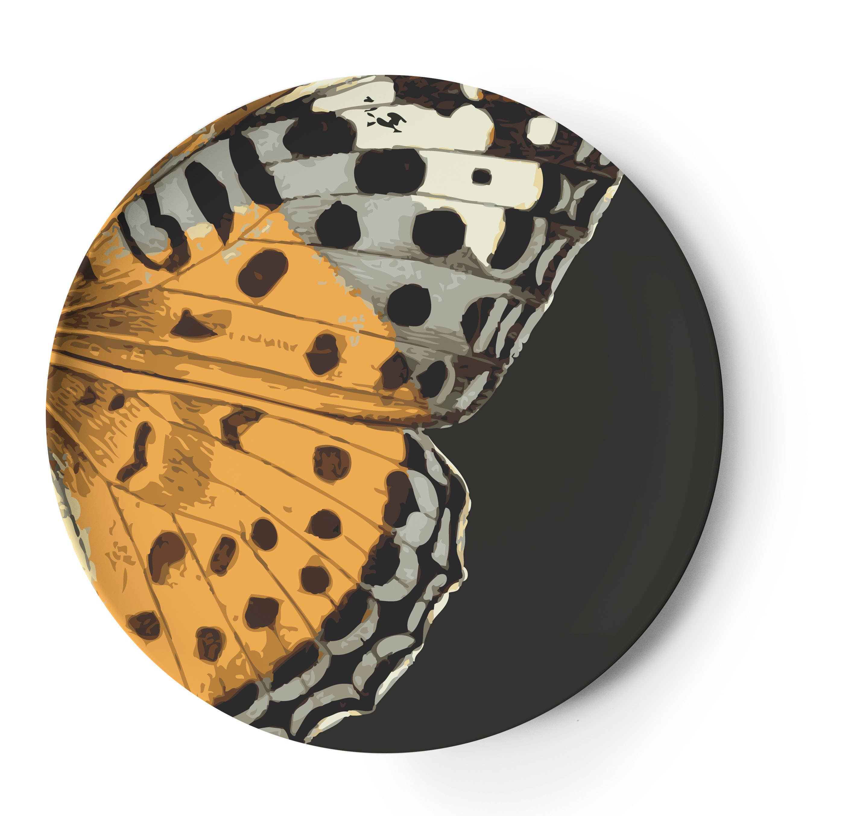 THOMASPAUL - Wholesale Dinner Plate - Metamorphosis Dinner Plates Set of 44