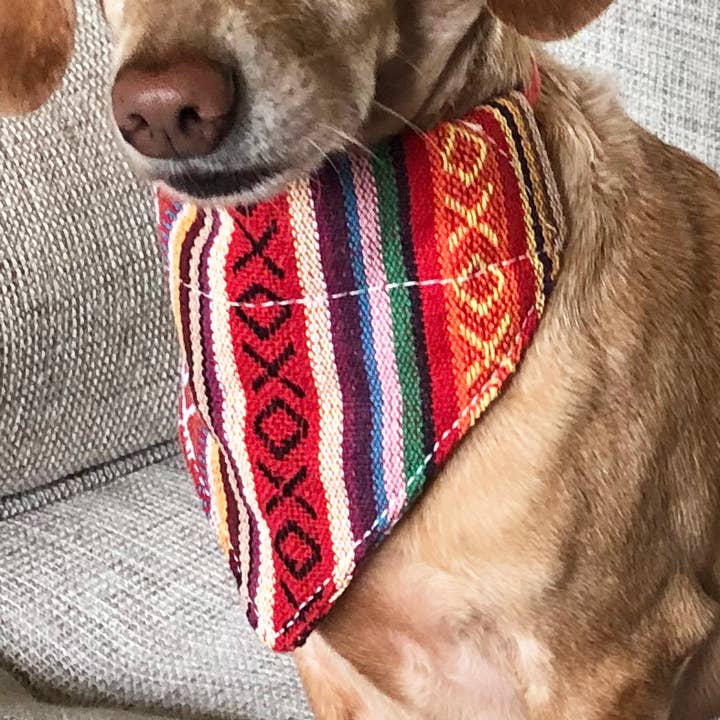 Dog Bandana Small - Salsa Woven for wholesale by Walking Palm