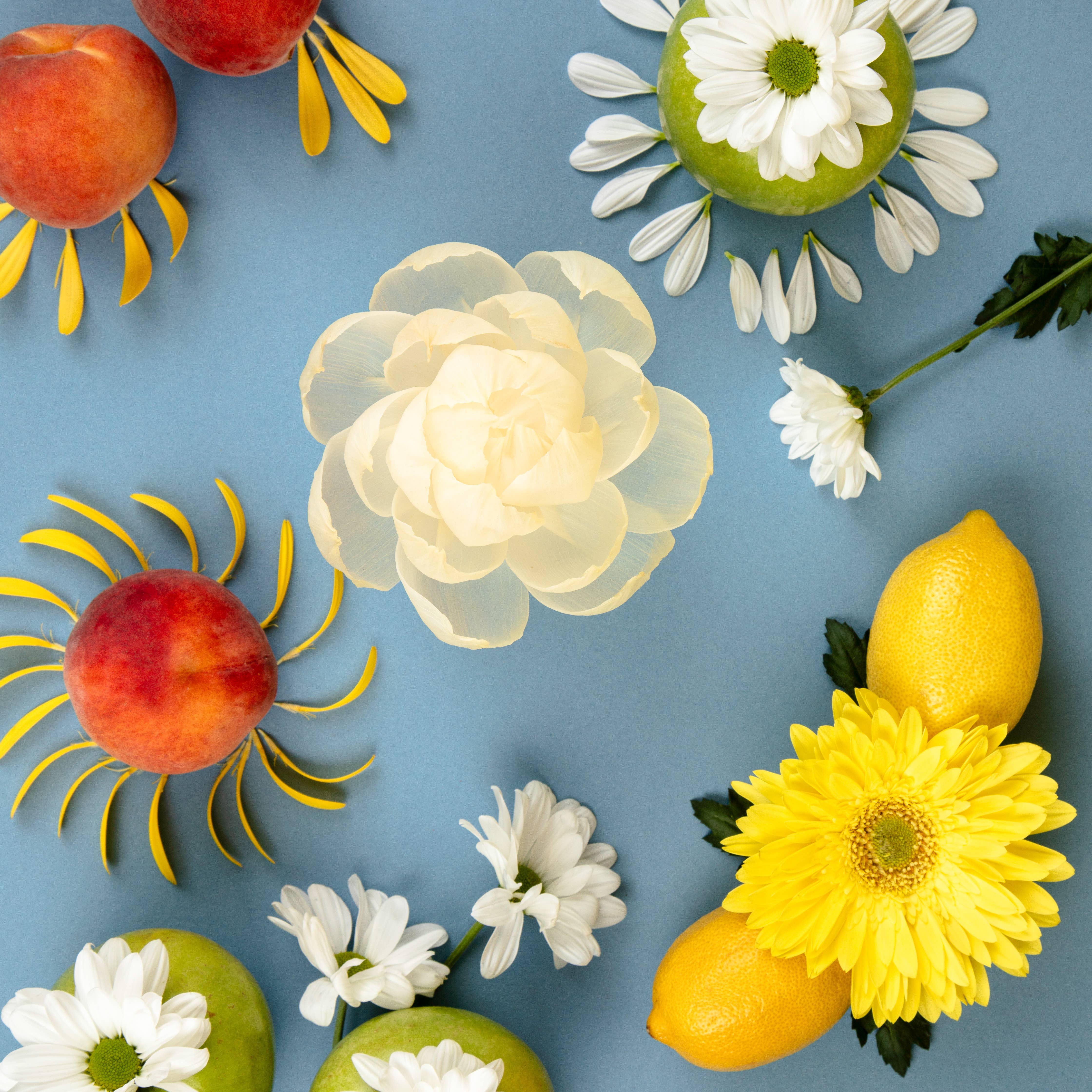 Greenleaf Gifts - Wholesale Reed Diffuser - Sunbeam Flower Diffuser 4 Pack3