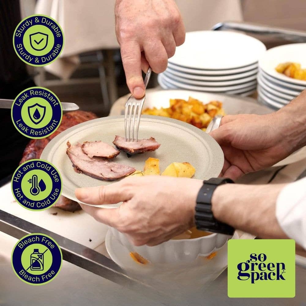 Sogreenpack - Wholesale Disposable Plate - 10" Bagasse Round Plate 100% Compostable Natural 125 Packs4