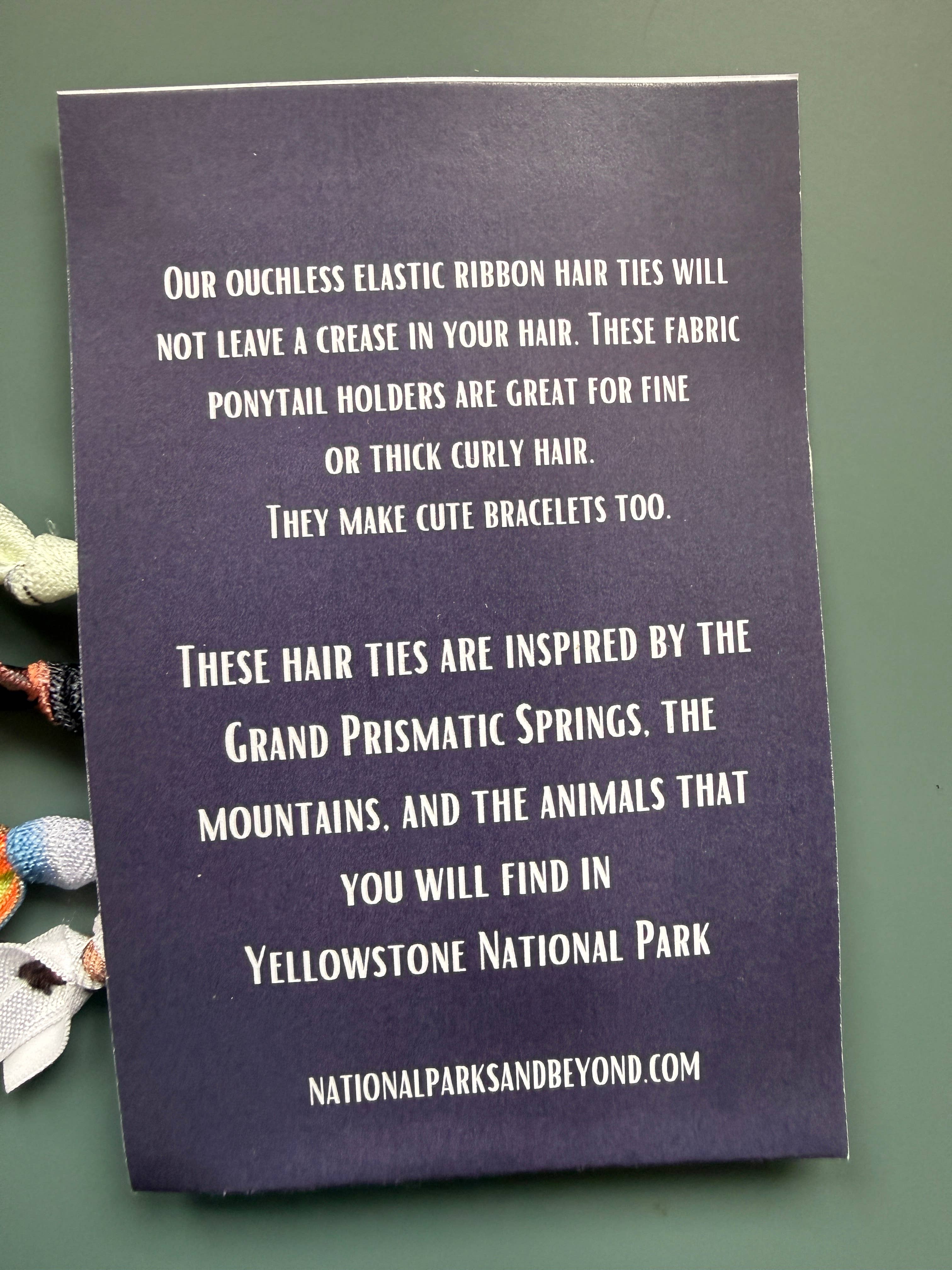 National Parks and Beyond - Wholesale Hair Tie - National Park Inspired Hair Bands11