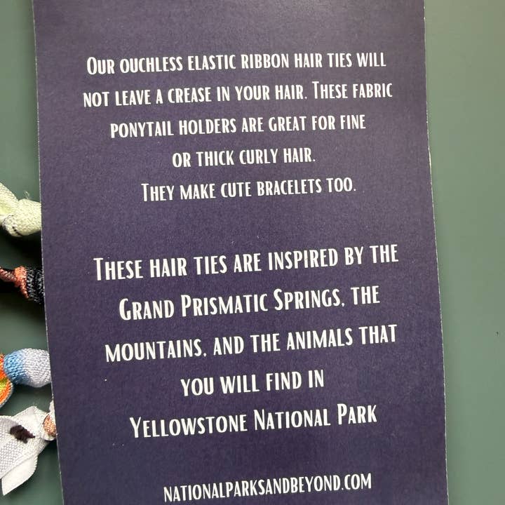 National Parks and Beyond - Wholesale Hair Tie - National Park Inspired Hair Bands11