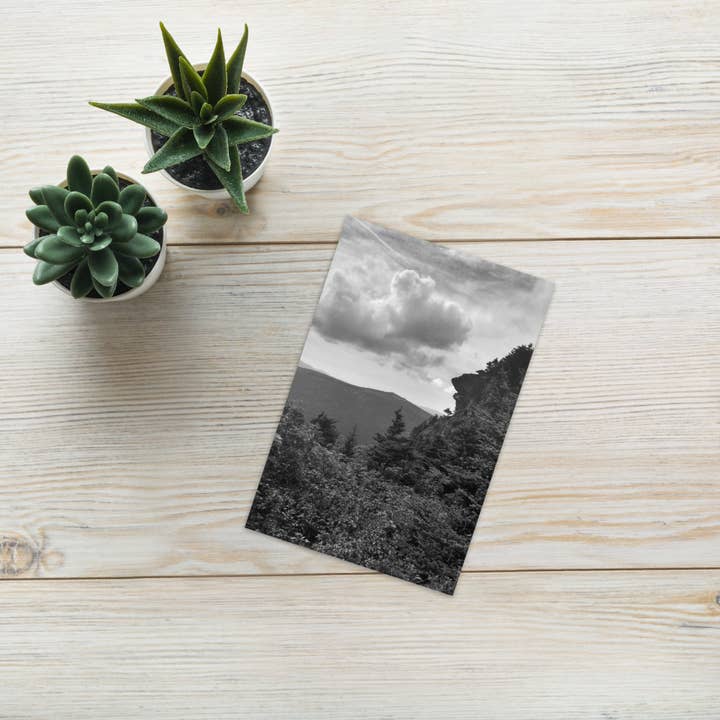 Forest Landscape Photograph on Standard Greeting Custom Multicolor Nature cards for wholesale by VIBELINK