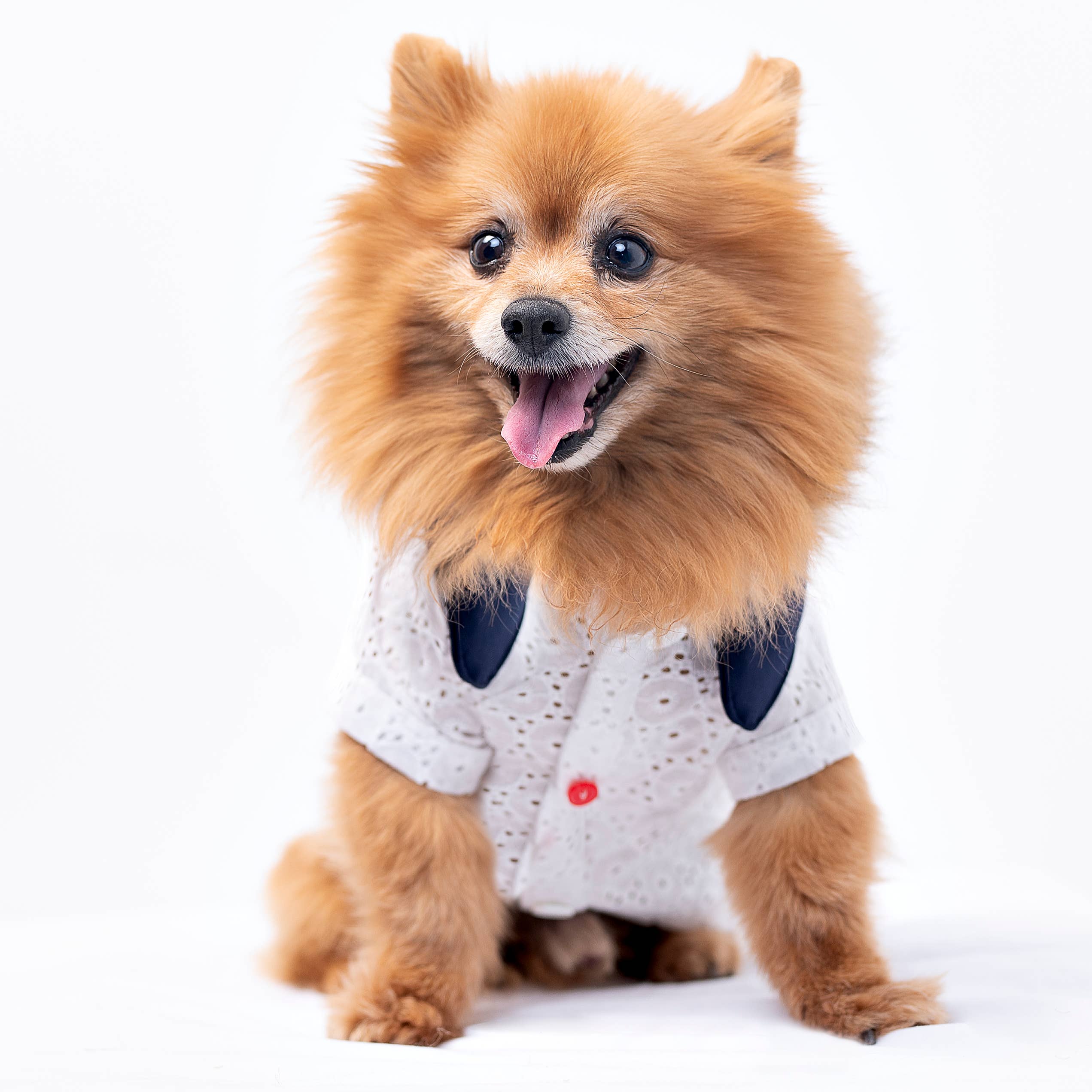 GentleDog - Wholesale Pet Shirt - Dog - Amy T-Shirt2