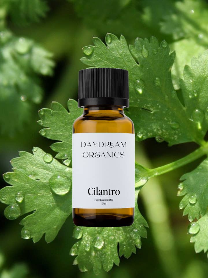 Huile essentielle de feuille de coriandre pour la vente par Daydream Organics | Prairie Doctor Brand