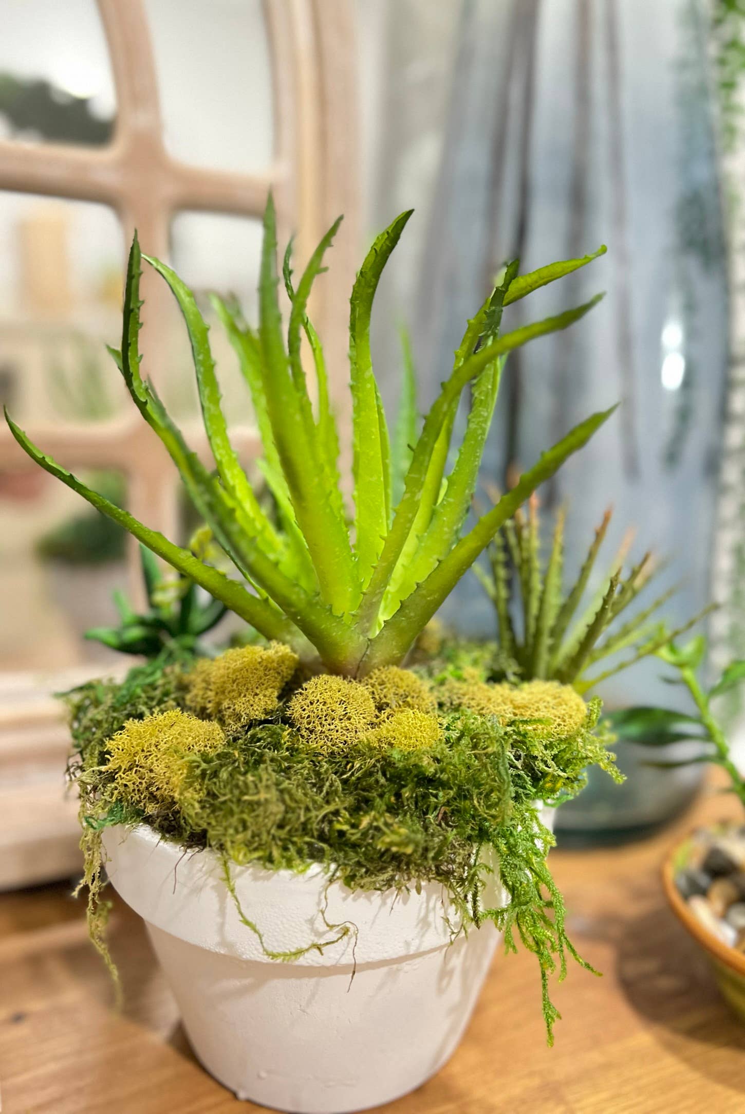 Angel Isabella – wholesale Succulent – High-end-Ultra realist Real Touch Succulents Aloe-10"5